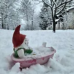 Kuca Sarenka * Kupjak