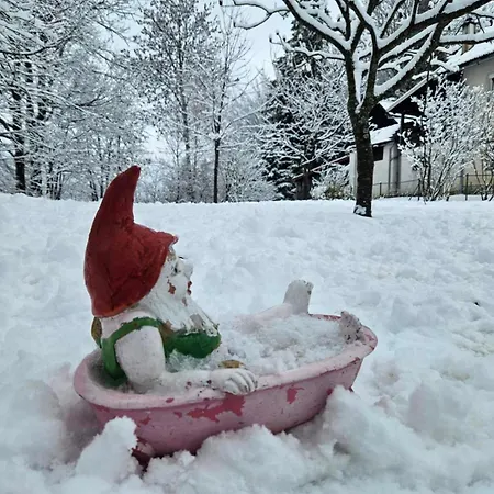 Kuca Sarenka * Kupjak