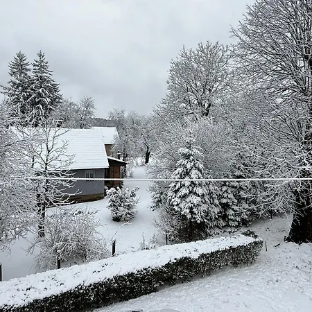 Dom wakacyjny Kuca Sarenka